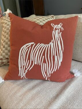 Ellen Degeneres Rust Orange Pillow with White Llama Rope Design